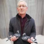 Mid Ulster Fed - Part 4 - Lot 67 - Pair Of 2026 YBs Presented By D. Booth & Son - Multiple NIPA Section & Open Winning Lofts That Is More Than Often, Than Not, At The Awards Table