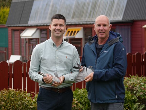 SECTION E-xtravaganza - Lot 12 - Presented By G. Buckley & Son - 2025 Latebred Cock - Details Irrelevant, Quality Ensured - All The Winning Lines Are In This Young Cock