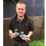 Dromara Fundraiser 2025 - Lot 4 - 2025 Ceuster / Soontjen / Vink Hen (GB25 D 27361) - Presented By N. Edgar & Son