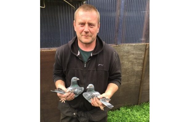 Dromara Fundraiser 2025 - Lot 4 - 2025 Ceuster / Soontjen / Vink Hen (GB25 D 27361) - Presented By N. Edgar & Son