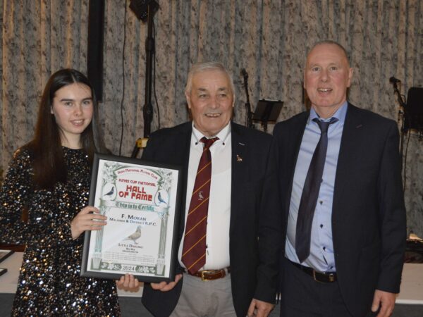 INFC CHARITY SHOW OF THE YEAR 2025 - Lot 13 - F. Moran, Malahide - IHU25 S 118715 - Red Cheq Cock - From A Half Bro x Sis Mating And Contains The Best Of The Top French Lines