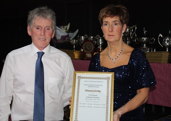 INFC CHARITY SHOW OF THE YEAR 2025 - Lot 4 - Paul O'Connor, Coleraine Premier - Mealy Cock - Bred For Stock - Son Of NIPA Silver Award Winner - 37th, 20th & 50th Open NIPA OB National - SUPER PIGEON UP INTO COLERAINE