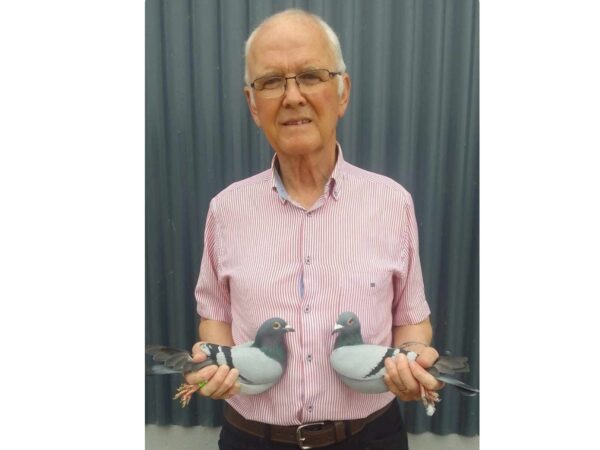 SECTION E-xtravaganza - Lot 24 - Presented By G&C Topley - 2026 Youngster From His French Bloodlines