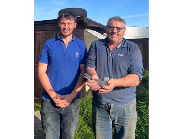 SECTION E-xtravaganza - Lot 28 - Presented By A&R Neill - 2026 Youngster From 20th Open INFC St Allouestre Kings Cup 2025