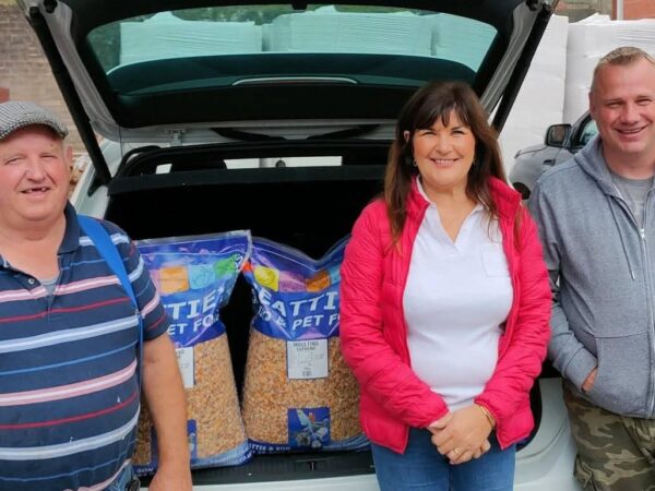 Kingsmoss Fundraiser 2026 - Lot 17 - Presented By S & N Maginty - 1x 2026 Youngster From Their Top Class Race Team - Top Racers In Muckamore Club With A Host Of NIPA Section Honours & NIPA Penzance Open Winners 2025