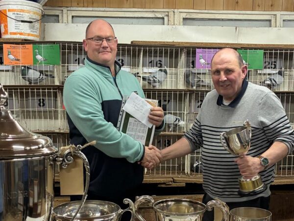 Kingsmoss Fundraiser 2026 - Lot 4 - Presented By R & C Johnston  - 1x 2026 Youngster From Their Distance Bloodlines - Dam Was 1st Club, 32nd Section & 135th Open NIPA Plougastel OB National 2025