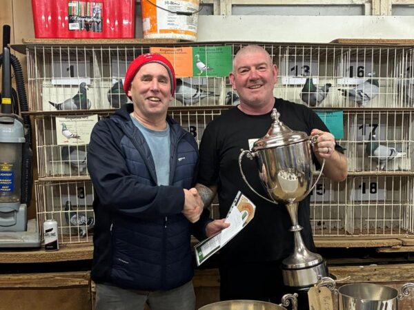 Kingsmoss Fundraiser 2026 - Lot 6 - Presented By T. Cairns & Son - 1x 2026 Youngster From His Distance Bloodlines - Pick Of The Loft - Bloodlines Include A Thompson, Rev TAB Sawyers & Son, A&N Lewis