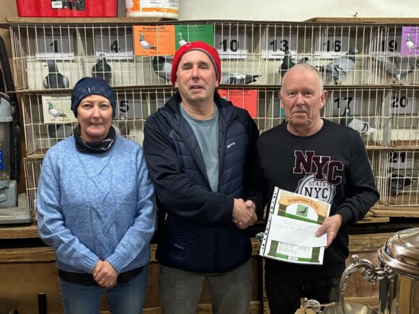 Kingsmoss Fundraiser 2026 - Lot 7 - Presented By G & C Lowry - 1x 2026 Youngster With The PICK OF THE  LOFT - Winners Of The NIPA Skibbereen National 2022