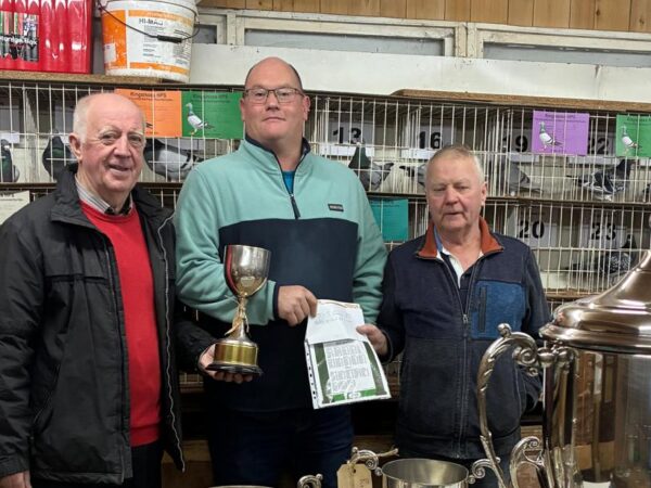 Kingsmoss Fundraiser 2026 - Lot 13 - Presented By J & S Graham - 1x 2026 Youngster From Their Top Distance Pair - YB Will Be A Grandchild Of 'SHANES PRIDE' - INFC Friendship National Winner & 'DENMAN' - INFC Yearling National Winner