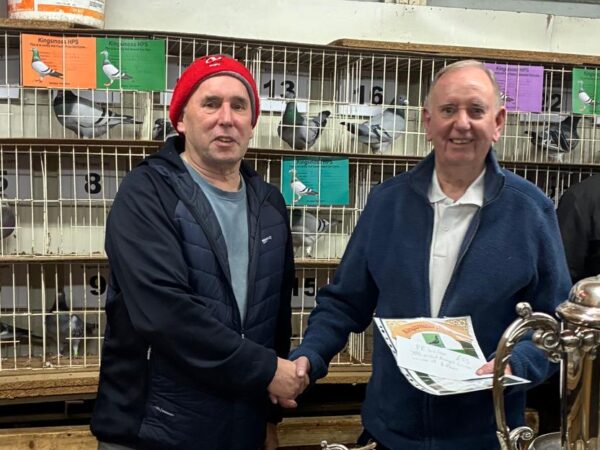 Kingsmoss Fundraiser 2026 - Lot 16 - Presented By P & R Wilson - Pair Of 2026 Youngsters Same Way Bred As YB Average Winning Team 2025, Inc: Knock Out Cup & 4x 1st Positions