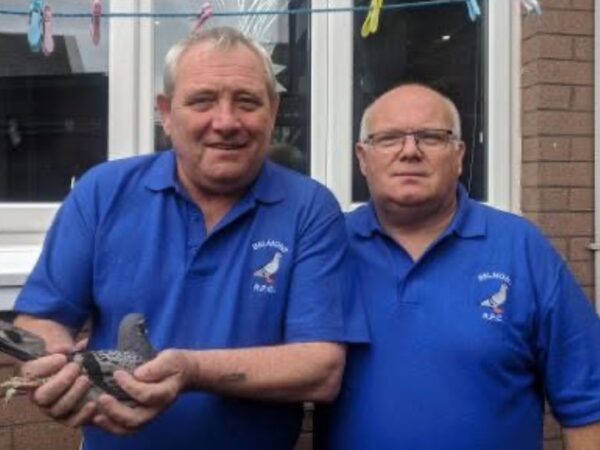 Kingsmoss Fundraiser 2026 - Lot 9 - Presented By R & J Conlane - 1x 2026 Youngster From This Top East Down Combine Partnership