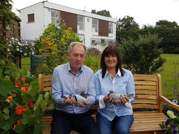 EVORA - Part 3 - Lot 54 - Pair Of 2026 YBs Presented By C&H Beattie - Ever Consistent Loft In Both The NIPA & INFC - Standout Performances Include: INFC Lamballe Friendship National Winners 2017 - 2nd Open INFC Kings Cup 2013