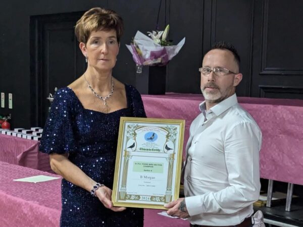 EVORA - Part 3 - Lot 50 - Pair Of 2026 YBs Presented By Brendan Morgan - Top Sprint & Middle Distance Loft Flying Into Coalisland - Serial Winner Of Section A & Always There When The Bigger Races Come About