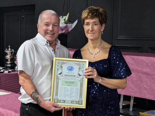 EVORA - Part 3 - Lot 53 - Pair Of 2026 YBs Presented By Karl Murphy - Another Ever Consistent Loft In The NIPA Section A - Karl Has To Race His Bird Around His Work Life - When He Has Them Going, They Are Always On Time