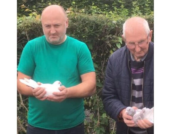 Mid Ulster Fed - Part 1 - Lot 13 - Pair Of 2026 YBs Presented By W. Bleeks - William Raced With His Father In Cookstown Before His Untimely Passing - They Got Their Day & Fair Share Of Wins In A Strong Cookstown Club