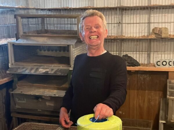 Mid Ulster Fed - Part 1 - Lot 14 - Pair Of 2026 YBs Presented By Geordie Calvin - Geordie Had A 2025 YB Season To Remember With 3 Wins In A Very Competitive Annaghmore Club