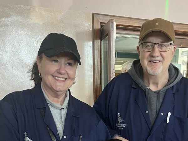 Mid Ulster Fed - Part 1 - Lot 16 - Pair Of 2026 YBs Presented By R. Keegan & Son - Top Class Dromore Based Lofts - Sharron & Brian Fly A Terrific Pigeon And Can Pick One Out When It Comes To The Special Events