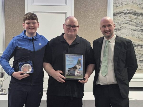 Mid Ulster Fed - Part 1 - Lot 8 - Pair Of 2026 YBs Presented By Wilson Bros - Top Ulster Fed Loft With Some Great Performances In Recent Times - Topping The Ulster Fed As Well As INFC Prize Winners