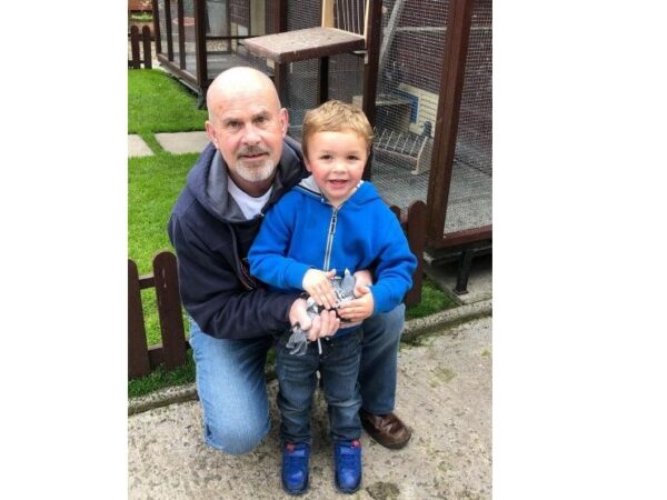 Mid Ulster Fed - Part 4 - Lot 62 - Pair Of 2026 YBs Presented By Sammy Ogle - One Of The Top Lofts In Section G & Banbridge Area - Regular At The Top Of The Results Every Week In Both NIPA & INFC